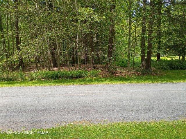 Land for sale in Blakeslee, Pennsylvania