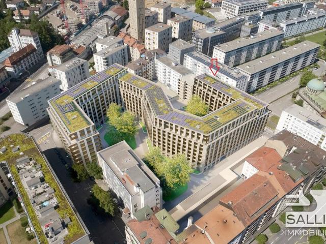 Apartment mieten in Les Charmettes, Fribourg - Freiburg
