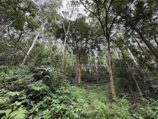 Apartamento venda em Região Geográfica Imediata de Tramandaí - Osório, Aglomeração Urbana do Litoral Norte