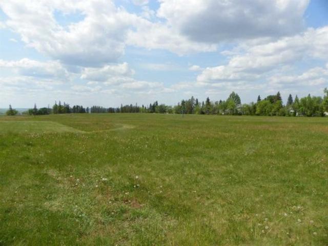 Commercial for sale in Three Hills, Alberta