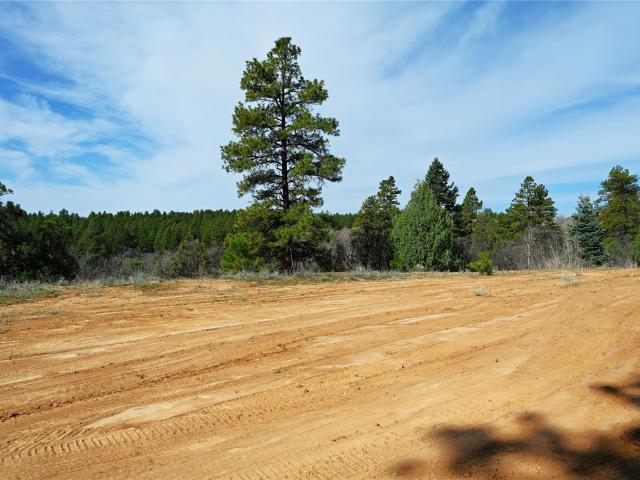 Land for sale in Chama, New Mexico