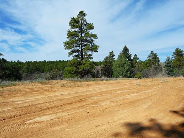 Land for sale in Chama, New Mexico