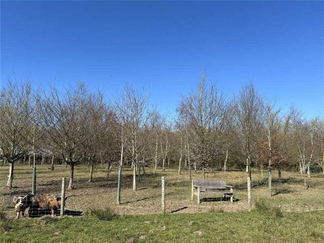 House for sale in Kentisbury, Devon