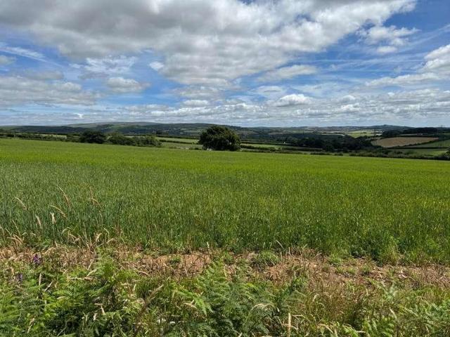House for sale in Roborough, Strode