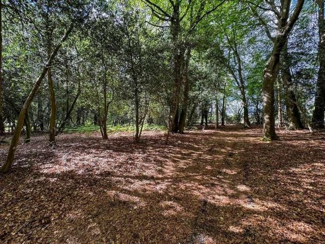 House for sale in Fole, Surrey