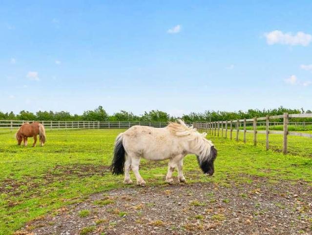 House for sale in Broadwell, New Bilton