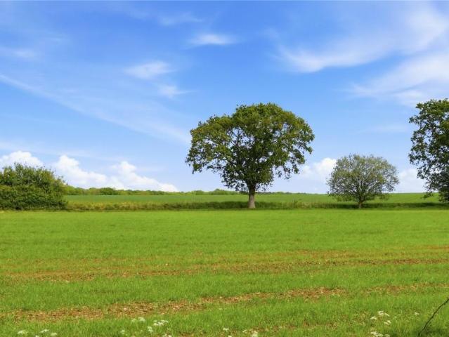 House for sale in Debden Green, Duton Hill