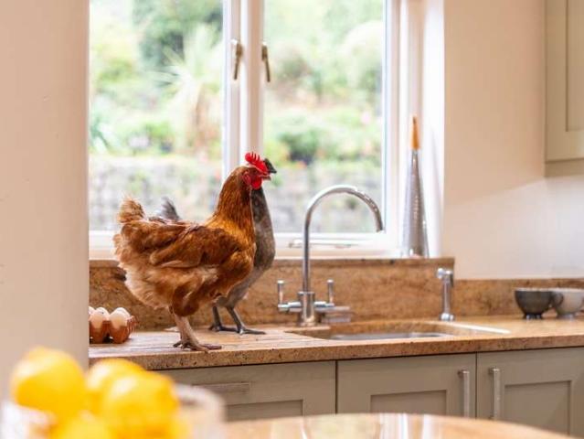 Farm for sale in Cheadle, Kingsley Moor
