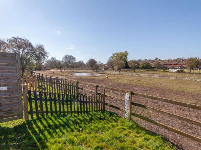 Farm for sale in Wickham Market, Eastbridge