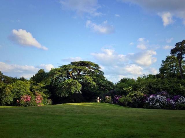 House for rent in Thorpe, Row Town
