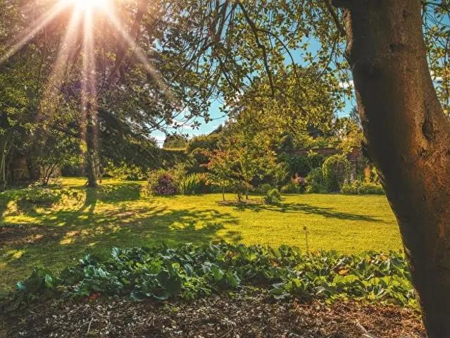 Apartment for rent in Repton CP, South Derbyshire