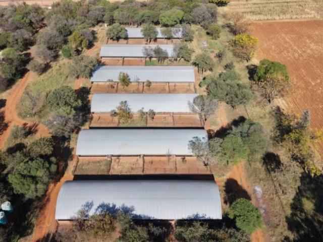 Farm for sale in Bela-Bela, Bela Bela Local Municipality