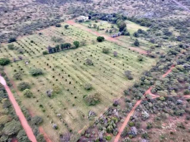 Farm for sale