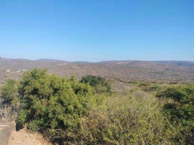 Farm for sale