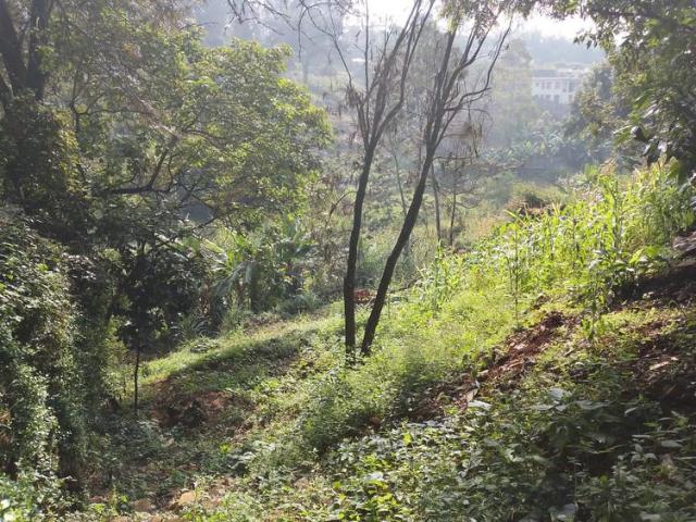 House for sale in Kitisuru, Kiambu