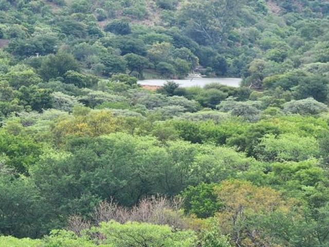 House for sale in Limpopo