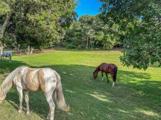House for sale in Eastern Cape