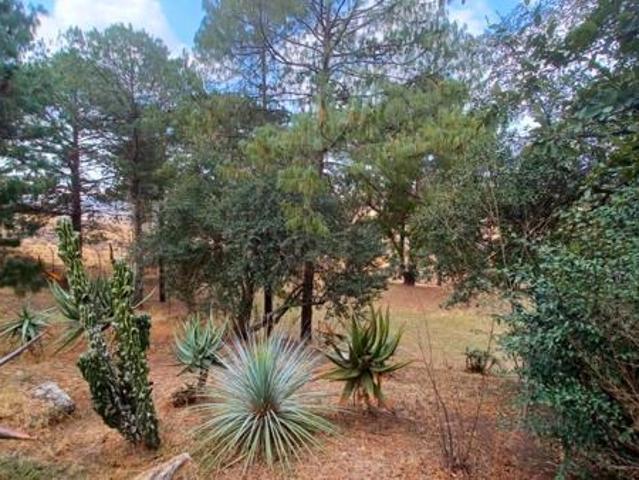 House for sale in Machadodorp, Mpumalanga