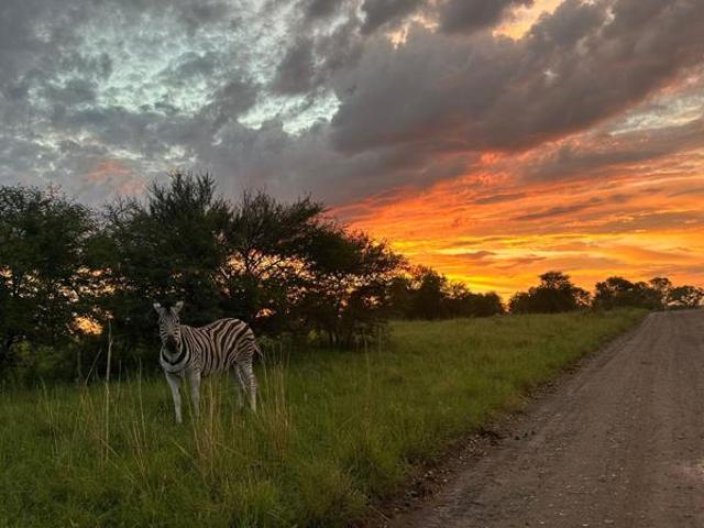 House for sale in Oranjeville, Free State