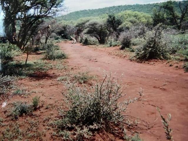 House for sale in Limpopo