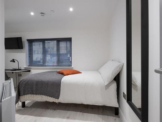 House for rent in St George's Quarter / Cultural Quarter, Calderstones
