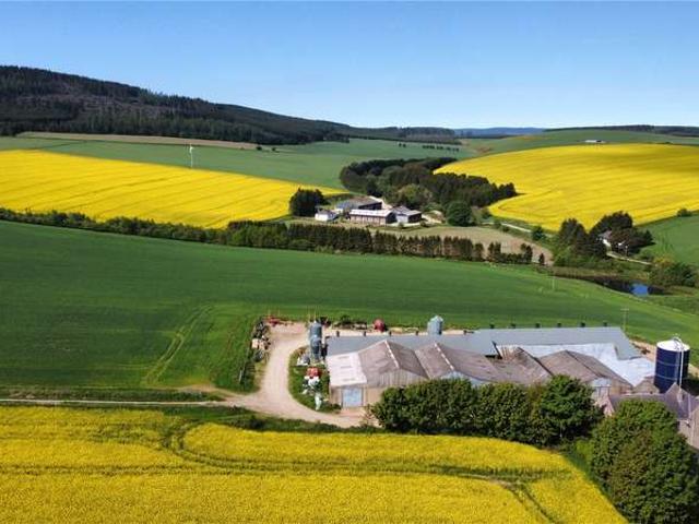 Land for sale in Scotland