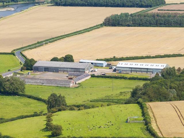 Land for sale in Eyemouth, Scotland