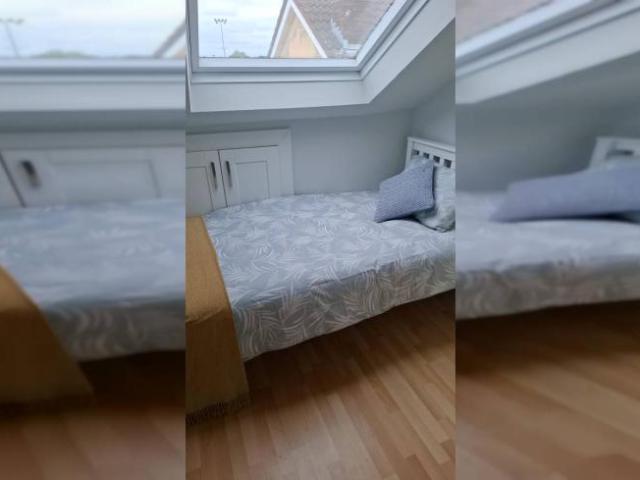 Property to rent in Bluebell, North Tipperary