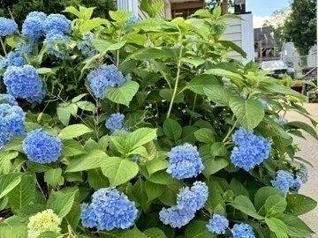 House for sale in Webster, Massachusetts