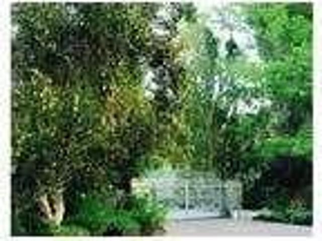 House for rent in Orange City