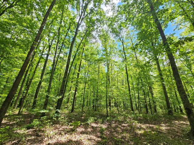 Land for sale in Tennessee
