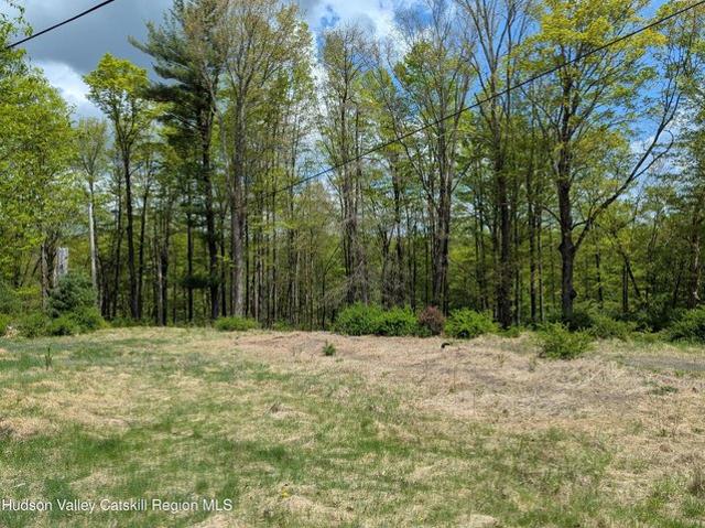 Land for sale in Olive, New York