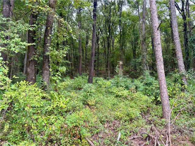 Land for sale in Ark