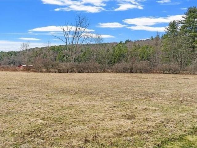 Land for sale in Chenango Forks, Broome County