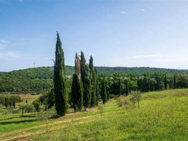Casa in vendita a Monterotondo Marittimo, Toscana