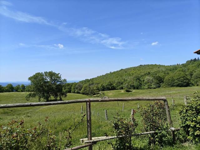 Casa in vendita a Unione di Comuni Valdarno e Valdisieve, Pontassieve