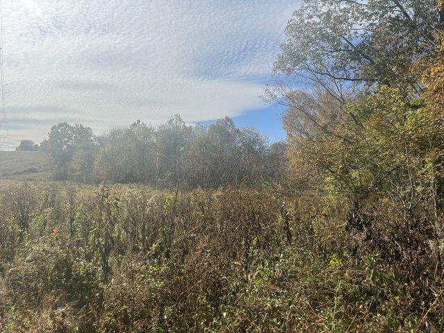 Land for sale in Tennessee