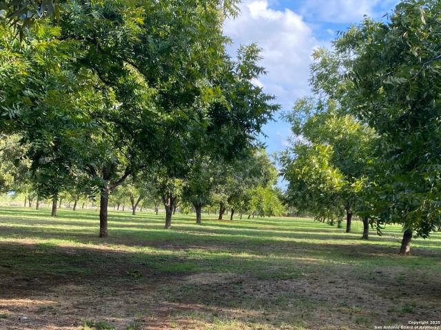 Land for sale in Lytle, Texas