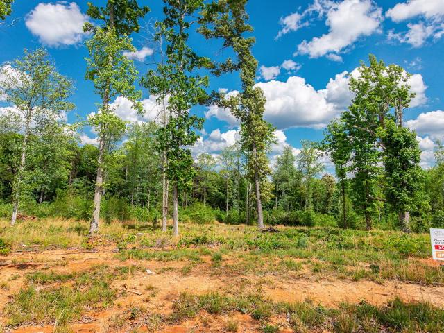 Land for sale in Efland, Orange County