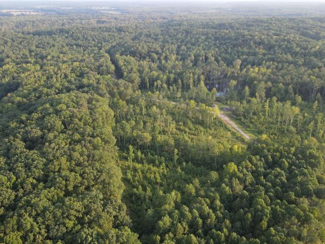 Land for sale in Tennessee