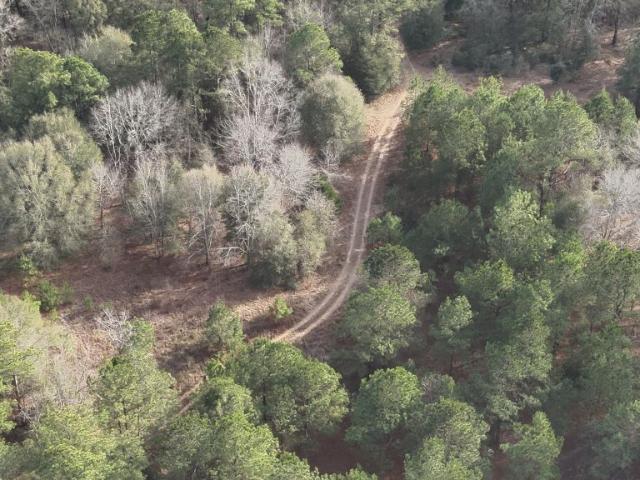Land for sale in Screven, Georgia