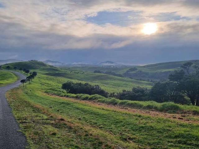 Land for sale in Kaiwaka, Northland