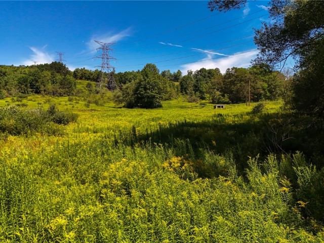 Land for sale in Burlington Flats, New York
