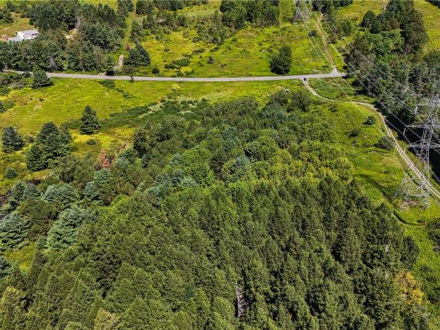 Land for sale in Burlington Flats, New York