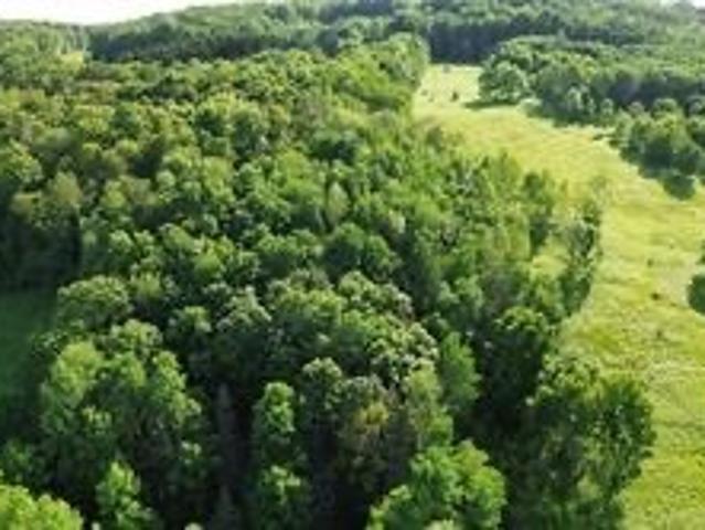 Land for sale in Laurens, New York