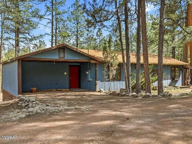 House for sale in Alpine, Arizona