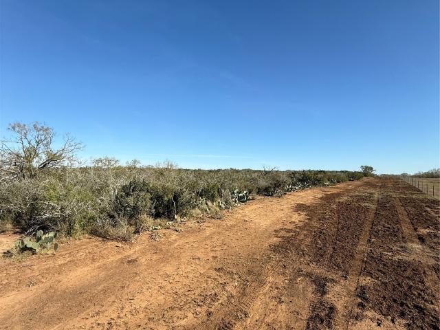 Land for sale in Jourdanton, Texas