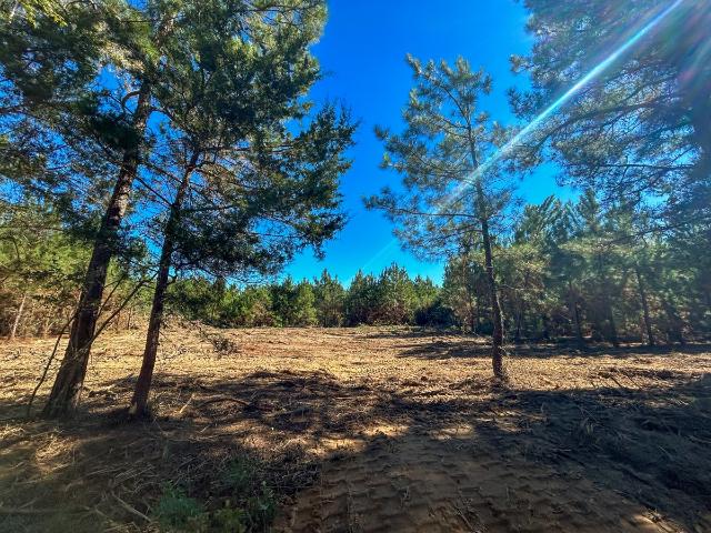 Land for sale in Texas