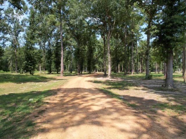 Land for sale in Shelby, Texas
