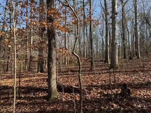 House for rent in Alabama